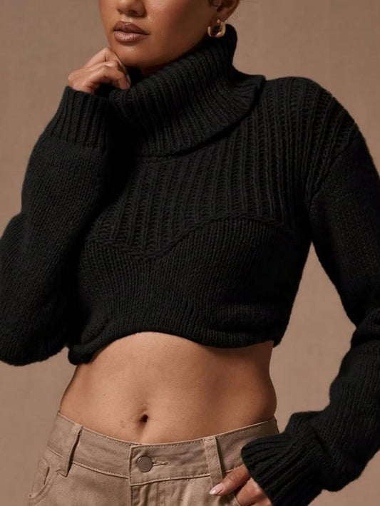 High Neck Corset Knit Crop Sweater