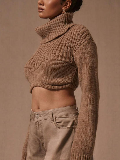 High Neck Corset Knit Crop Sweater