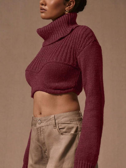 High Neck Corset Knit Crop Sweater